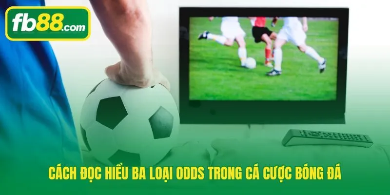 Giải mã kèo nhà cái qua ba dạng odds châu Á, châu Âu và tài xỉu