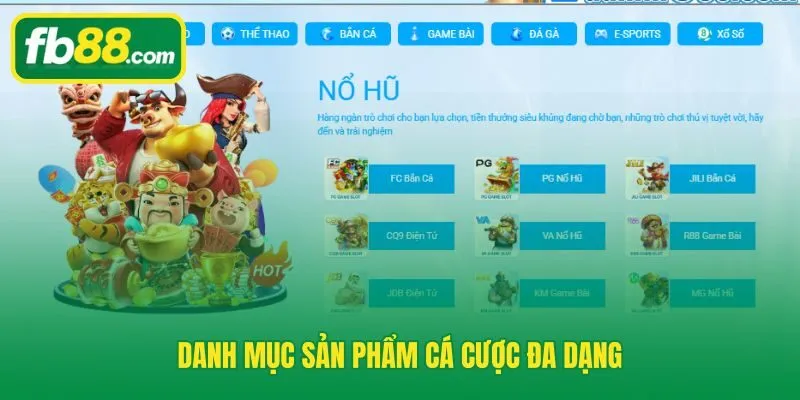 Giới thiệu 6 nhóm sản phẩm phủ sóng hơn 30 môn thể thao