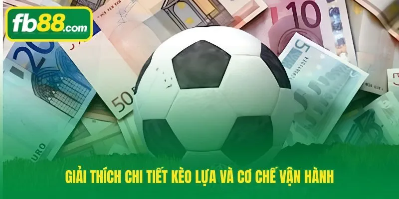 Kèo lựa với nguyên lý cộng dồn odds và xác suất giảm theo cấp số nhân