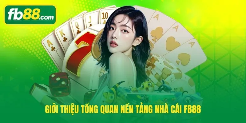 Nền tảng FB88 với giấy phép quốc tế và hệ thống sản phẩm giải trí đa dạng